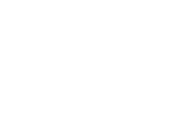 BMDA Logo